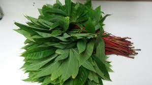 Cassava leaves (crushed)