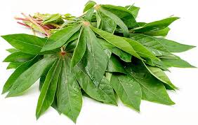 Cassava leaves (crushed)