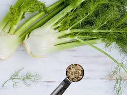 Fennel