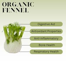 Fennel