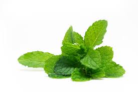 Mint