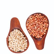 Sorghum coarse