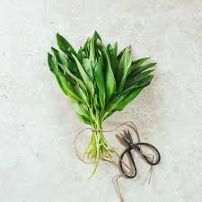 Wild garlic