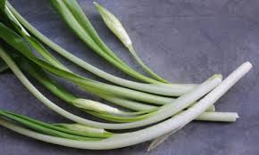 Wild garlic