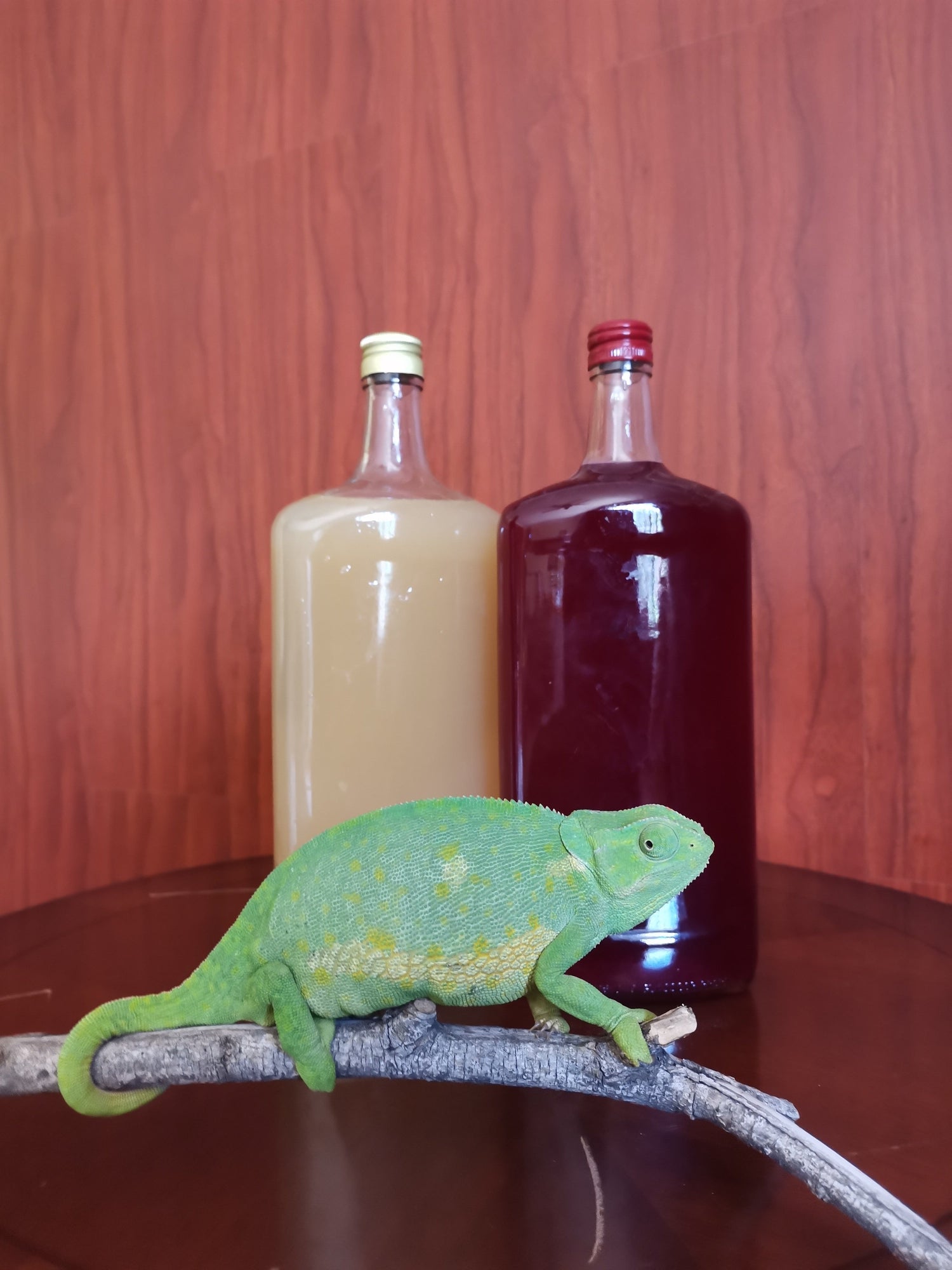 Beverages