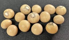 Bambara ground nuts