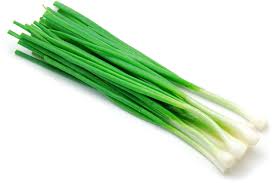 Green/spring onions