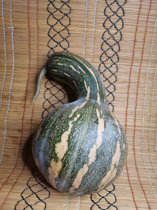 Pumpkin | iThanga