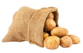 Baby potatoes