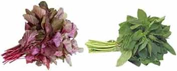 Amaranth | Mbuya | Thepe